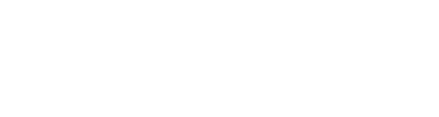 Vocalfy Logo White